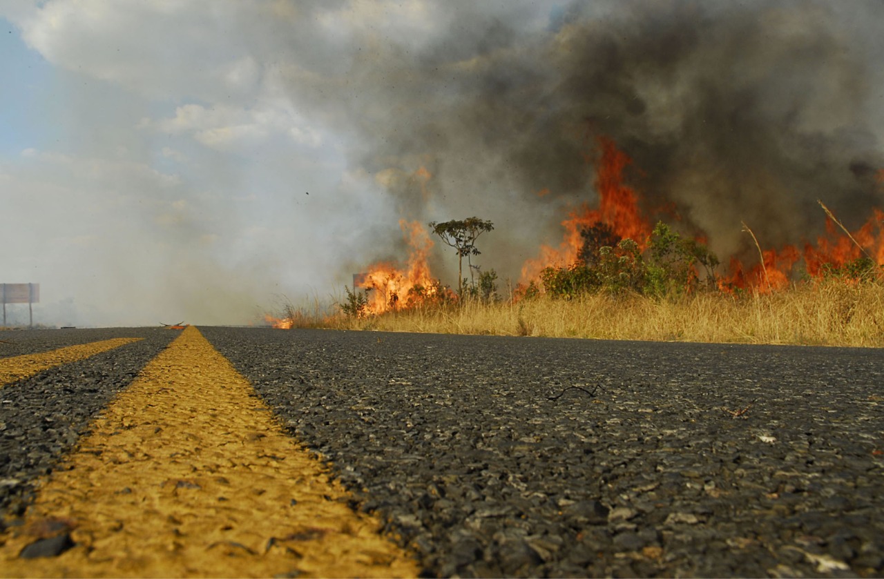 Artesp alerta que bituca de cigarro pode provocar grandes incêndios nas rodovias