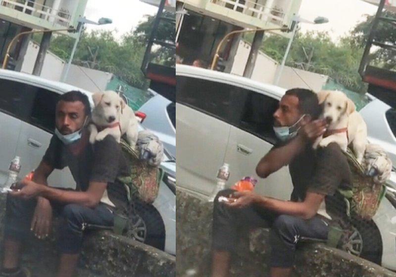 Ambulante divide comida com cachorrinho na rua e emociona redes. Assista ao vídeo