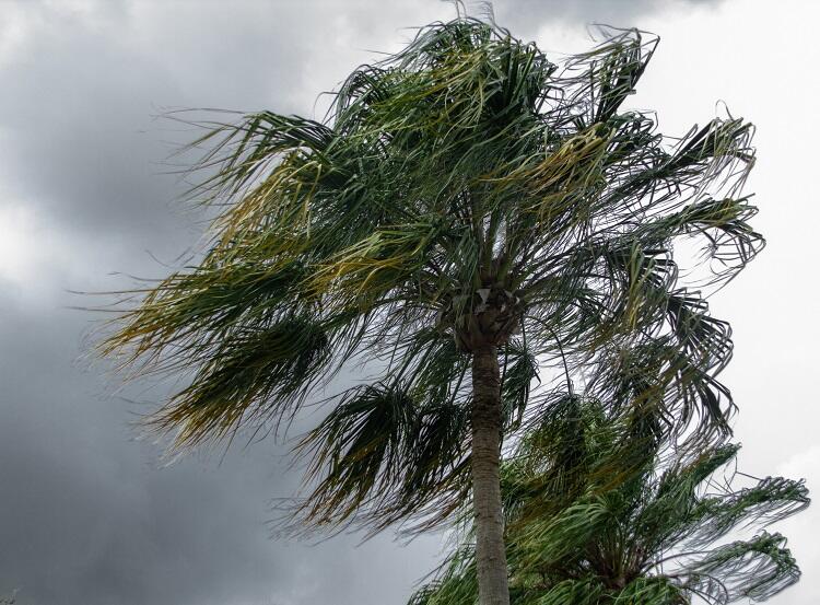 Climatempo prevê ventos fortes e ressaca no Estado. Em Franca, permanece a “secura”