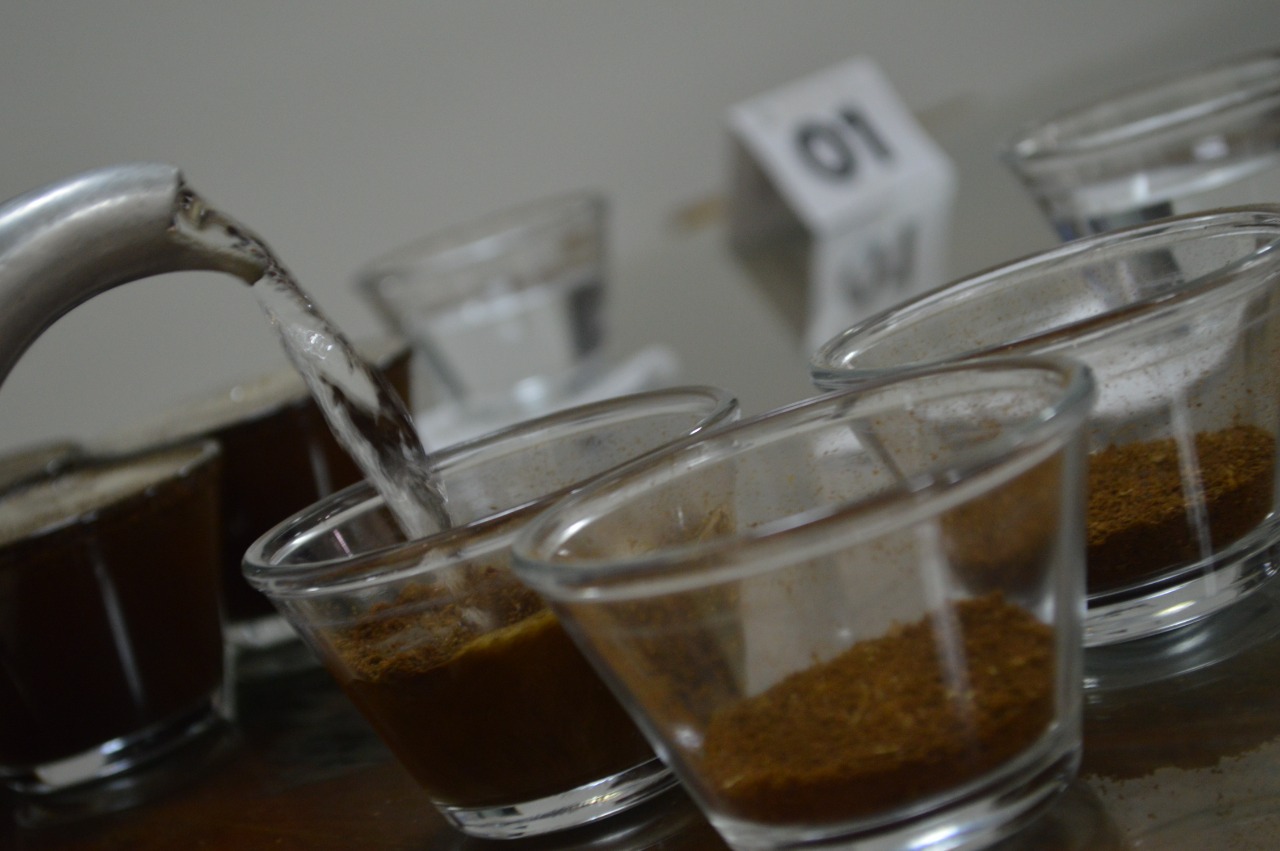 Cocapec lança Concurso de Qualidade Senhor Café 2022; resultado sai em outubro