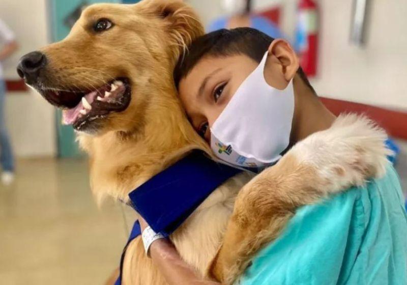 Alecrim, o cão que espanta medo e depressão de crianças internadas em hospital