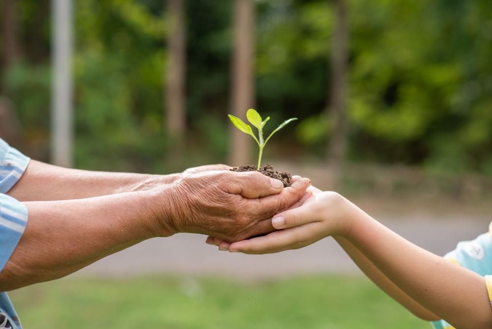Programa Município VerdeAzul começa a divulgação do Ranking Ambiental Paulista