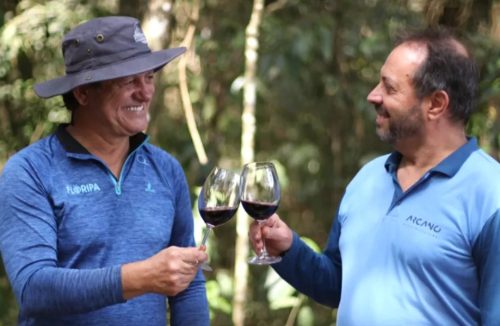 Produtores de vinho em Franca esperam safra da uva 25% maior que a anterior - Jornal da Franca