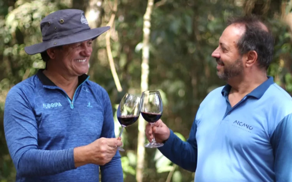 Produtores de vinho em Franca esperam safra da uva 25% maior que a anterior
