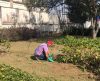 Equipes seguem realizando manutenção e limpeza em áreas públicas de Franca - Jornal da Franca