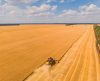 Produção agropecuária do Brasil alimenta mais de 1 bilhão de pessoas no mundo - Jornal da Franca