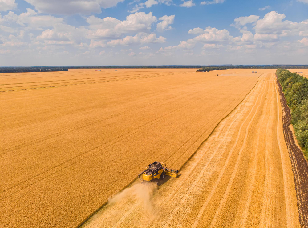 Produção agropecuária do Brasil alimenta mais de 1 bilhão de pessoas no mundo