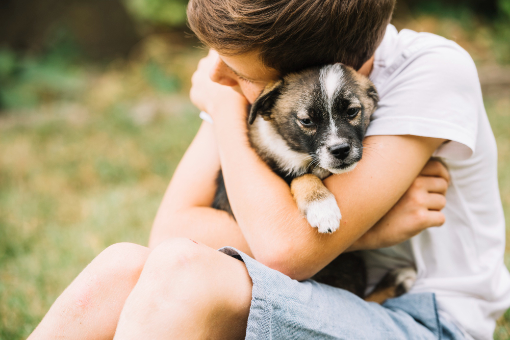 Pesquisa revela os nomes de cães e gatos mais comuns no Brasil em 2020