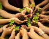 Ministério lança “Escolas +Verdes” para estimular ações sustentáveis na educação - Jornal da Franca