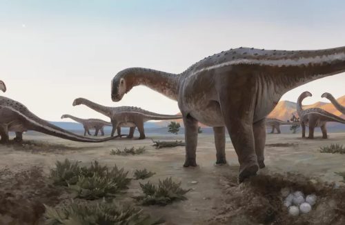 Nova espécie de dinossauro anão é encontrada em cidade a 230 quilômetros de Franca - Jornal da Franca