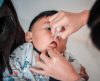 Sete em cada dez crianças não foram vacinadas contra a pólio a uma semana do fim - Jornal da Franca