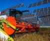 Produtores estão cobrindo as lavouras com painéis solares: o futuro pede passagem - Jornal da Franca