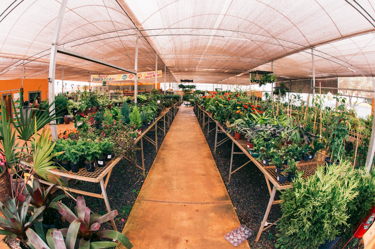 Franca sedia 1ª ExpoGarden com mostra de paisagismo, palestras e oficinas