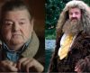 Robbie Coltrane, o Hagrid de ‘Harry Potter’, morre aos 72 anos - Jornal da Franca