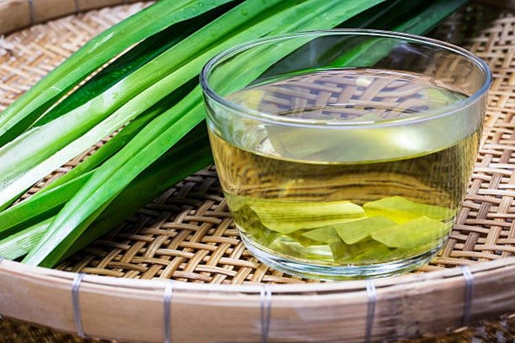 Jornal da Franca - Ch&aacute; de capim cidreira &eacute; bom para que? Descubra aqui e  veja como fazer! - Jornal da Franca