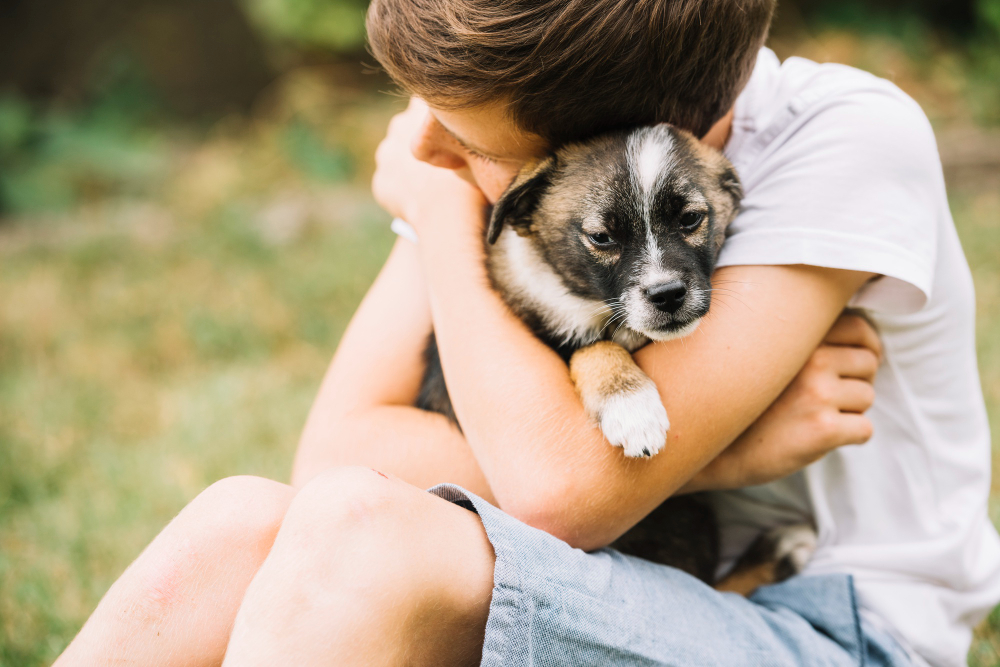 Entenda o que acariciar um cachorro pode trazer de benefício para seu cérebro