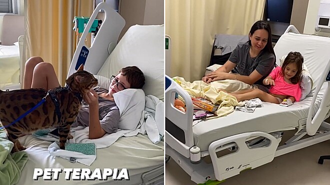 Gato amoroso tem atitude incrível para ganhar o coração de crianças em hospital