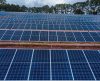 Hapvida NotreDame Intermédica e EDP firmam parceria para geração de energia solar - Jornal da Franca