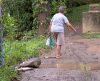 Em Franca, moradores do Horto e Cambuí reclamam de lixo, lama e insegurança - Jornal da Franca