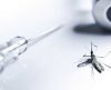 Instituto está recrutando voluntários para teste de vacina contra Chikungunya - Jornal da Franca