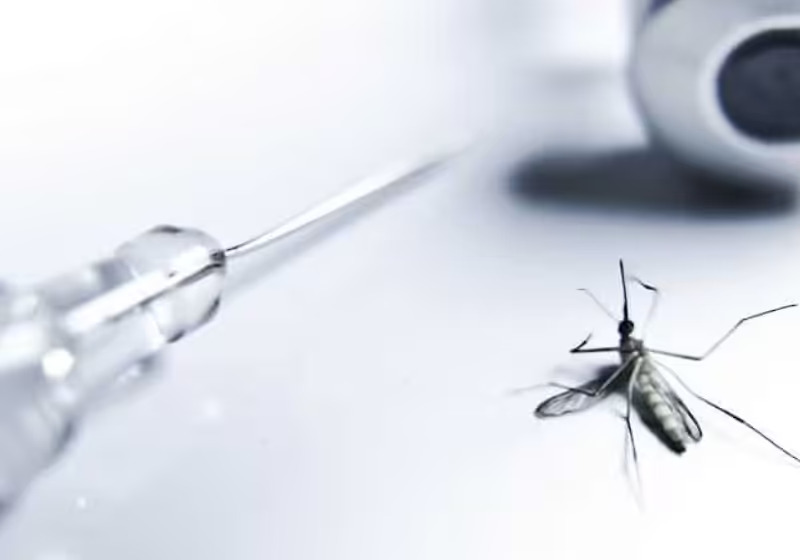 Instituto está recrutando voluntários para teste de vacina contra Chikungunya