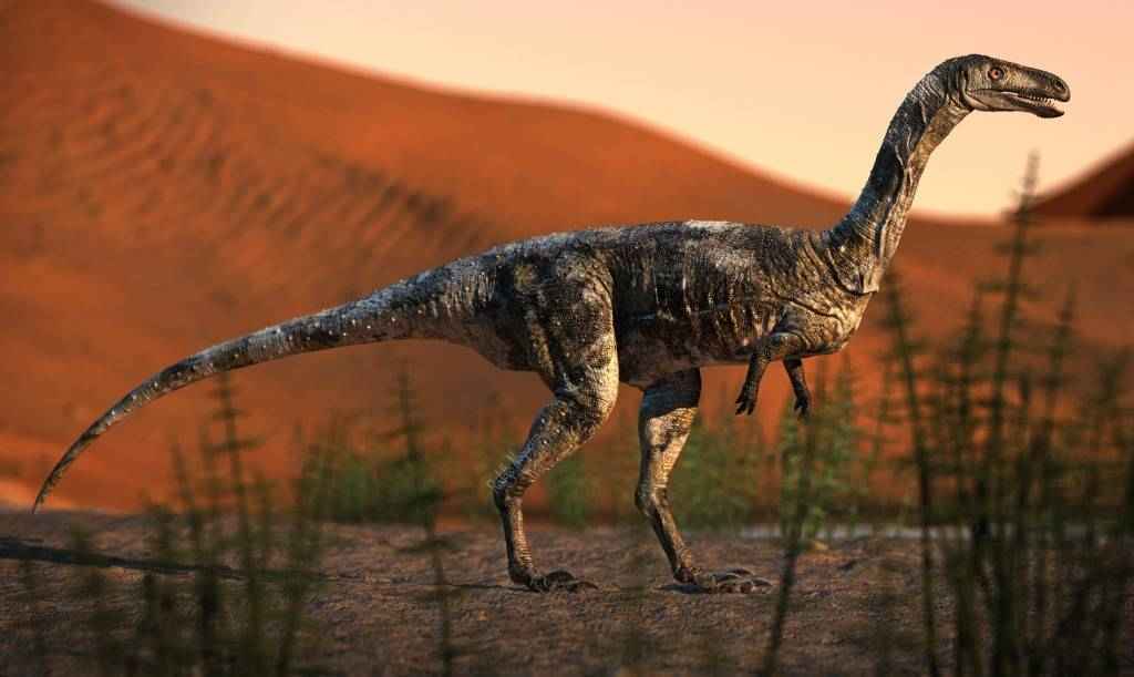 Novo Guia diz que brasileiros já descobriram 54 fósseis de Dinossauros no país