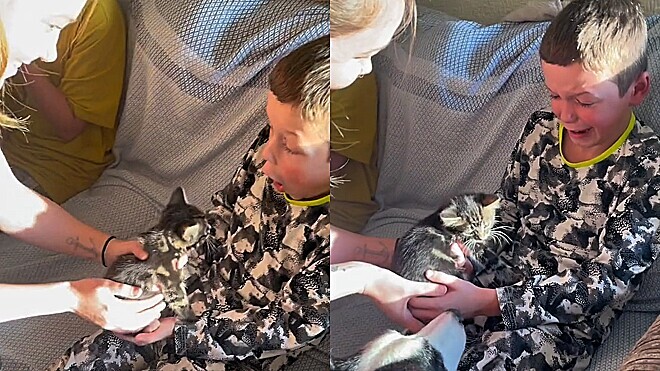 Menino chora de alegria ao ganhar gato filhote que pedia há mais de um ano