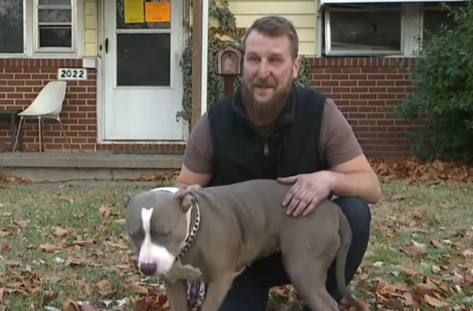 Homem acorda com cachorra lhe cutucando e percebe sua casa inteira em chamas