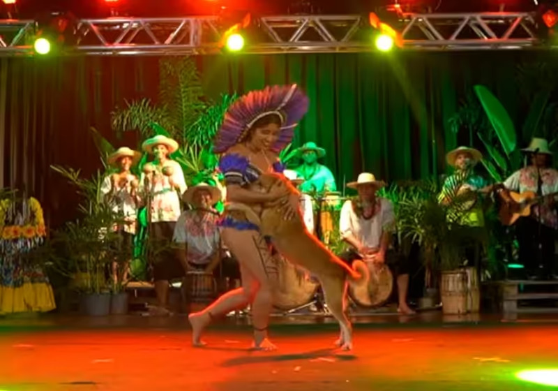 Com talento, cão caramelo invade palco, dança com bailarina e viraliza na internet