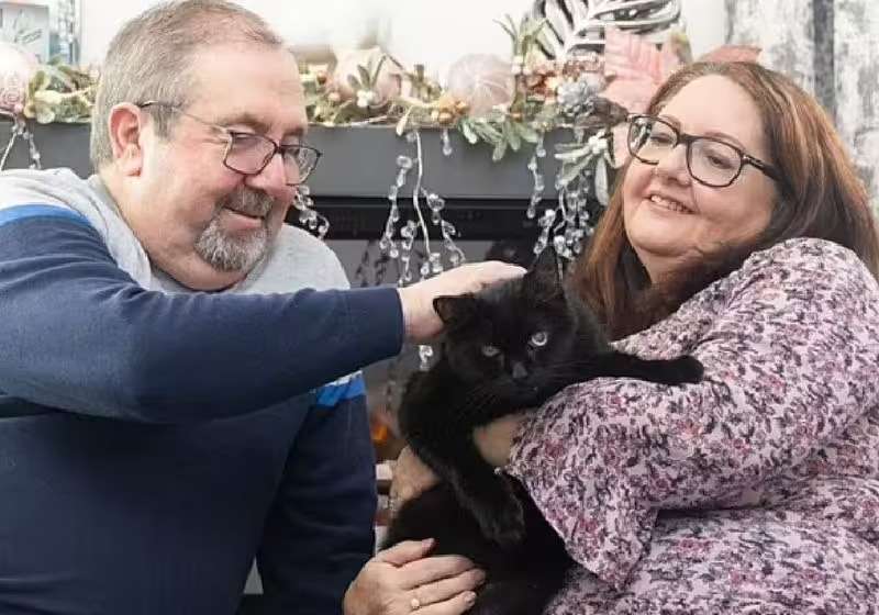 Após adotar gato preto, casal em dificuldades ganha na loteria e fica milionário
