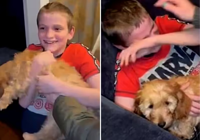 Menino com deficiência chora ao ganhar um cachorro também com deficiência