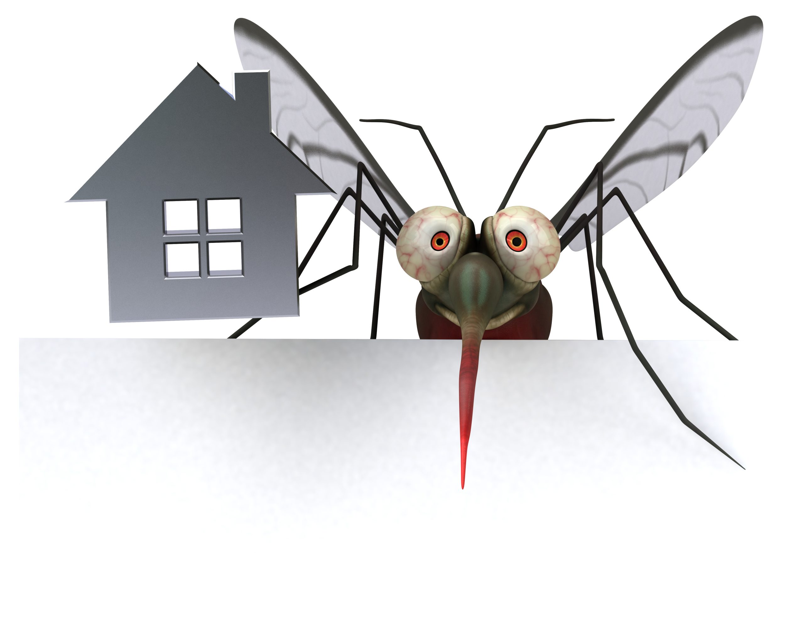 Tchau, picada: Veja algumas dicas para livrar sua casa de mosquitos e pernilongos!
