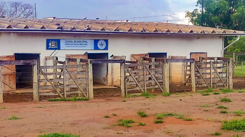 É possível adotar animais mantidos no Canil Municipal de Franca. Saiba como