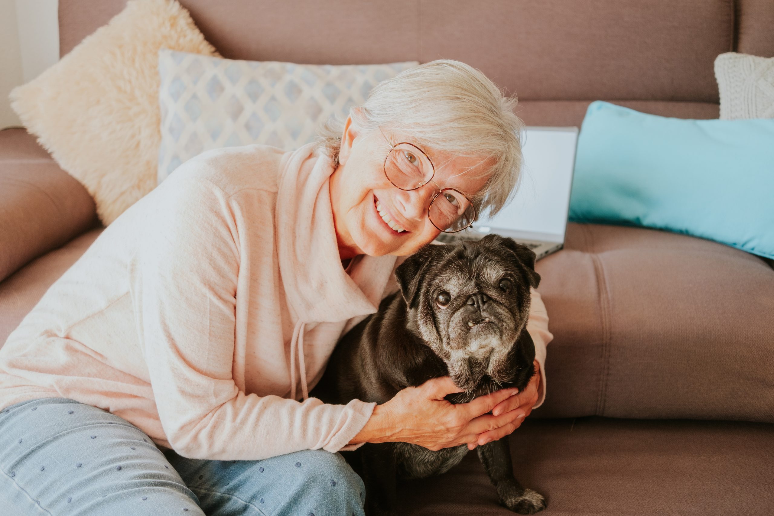 Cães idosos: Veja 5 doenças que mais afetam os pets nessa fase da vida