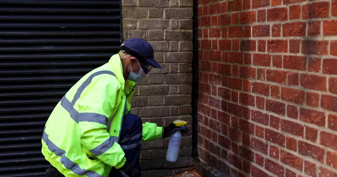 Cidade testa substância que repele e respinga xixi de volta em quem urinar na rua