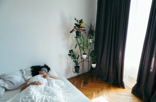 Faz mal dormir em quarto com plantas? Veja 7 mitos e verdades da jardinagem! - Jornal da Franca