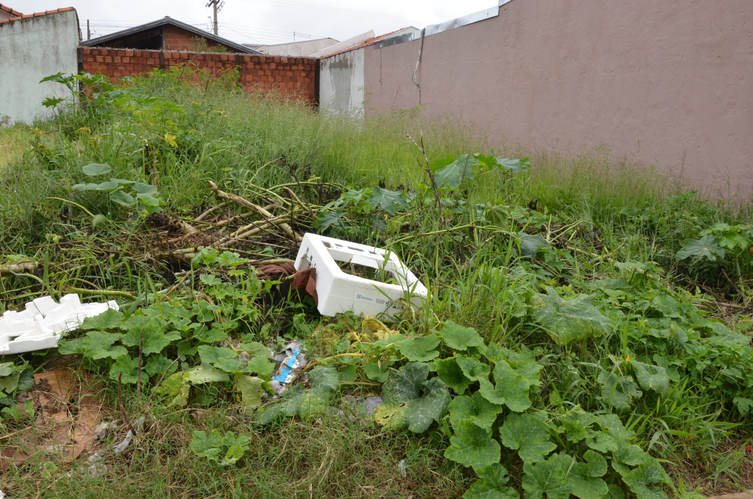 Vigilância Sanitária de Franca notifica proprietários para a limpeza de terrenos