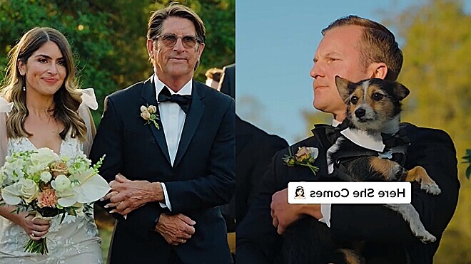 Casamento: Cão rouba cena ao ficar emocionado vendo sua tutora caminhar para o altar