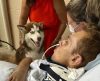 Paciente internado recebe visita do cão de estimação, se emociona e melhora - Jornal da Franca