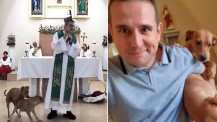 Final feliz: Padre adota cães que invadiram missa e ‘namoraram’ no altar