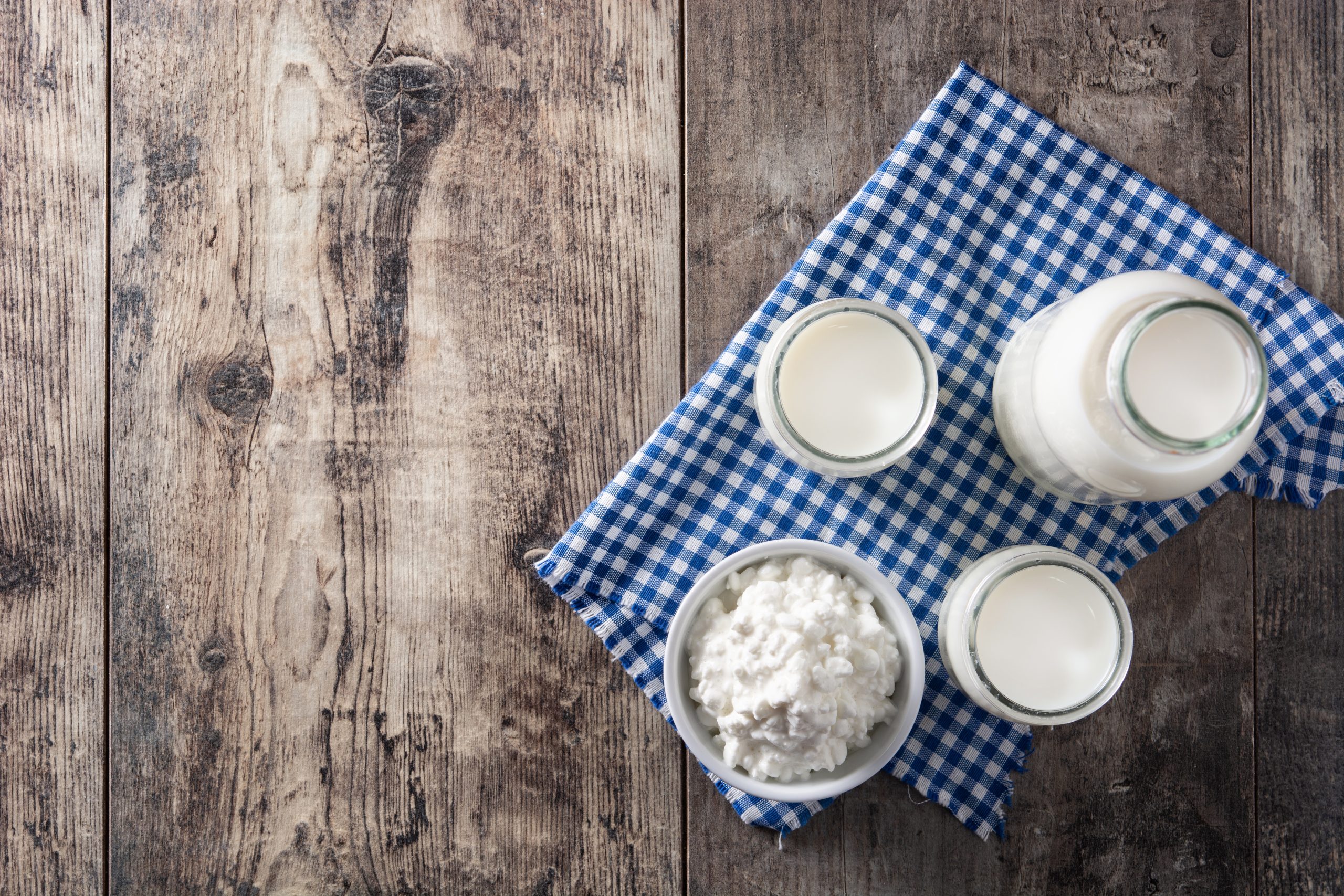 Saiba o que são e a importância dos alimentos probióticos para a sua saúde