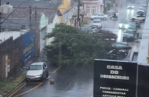 Chuva forte em Franca arranca árvore na General Osório. Veja as consequências disso - Jornal da Franca