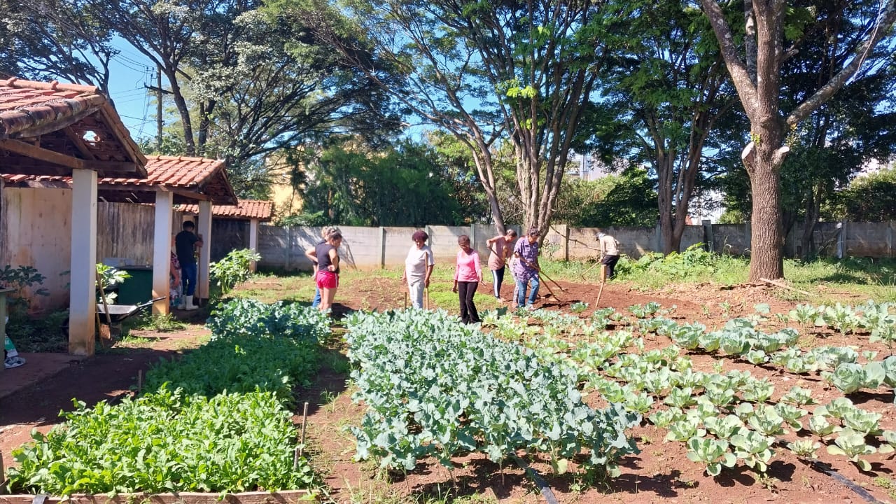 Prefeitura de Franca implanta projeto piloto de Hortas Comunitárias
