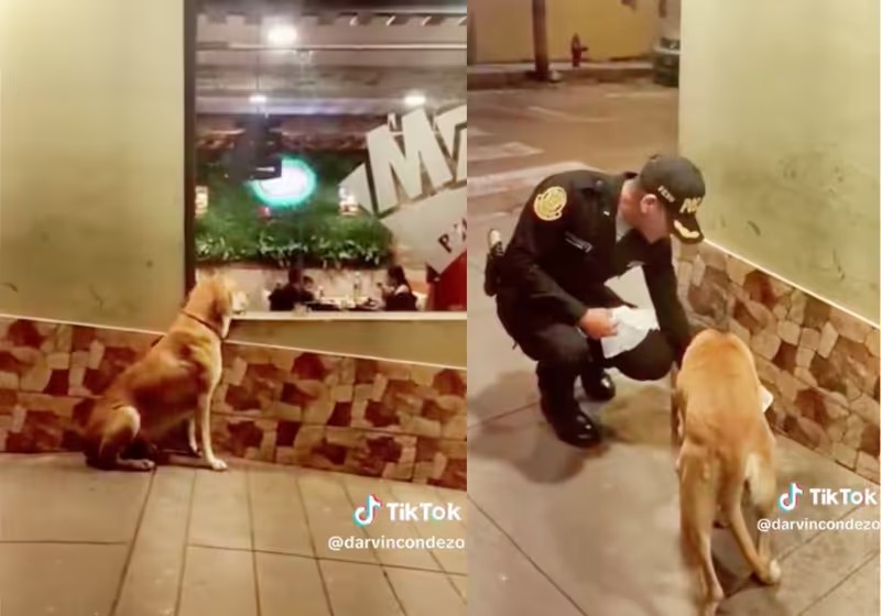 Policial compra frango para viralata com fome em frente a restaurante e comove a web