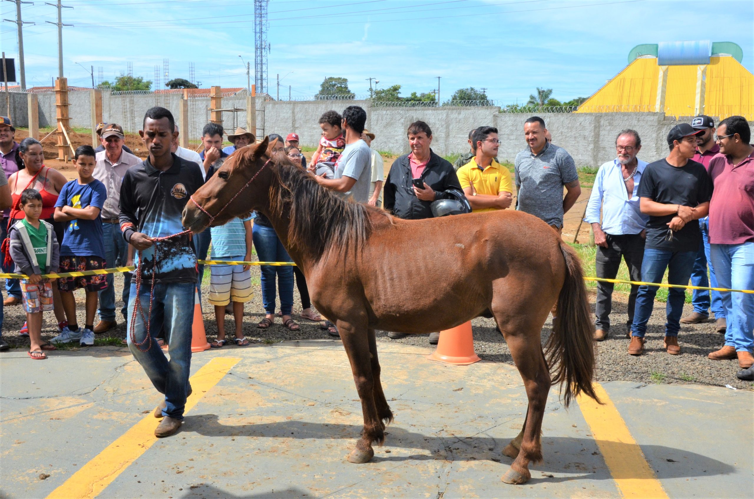 Canil Municipal de Franca realiza segundo leilão de animais nesta quarta-feira, 26