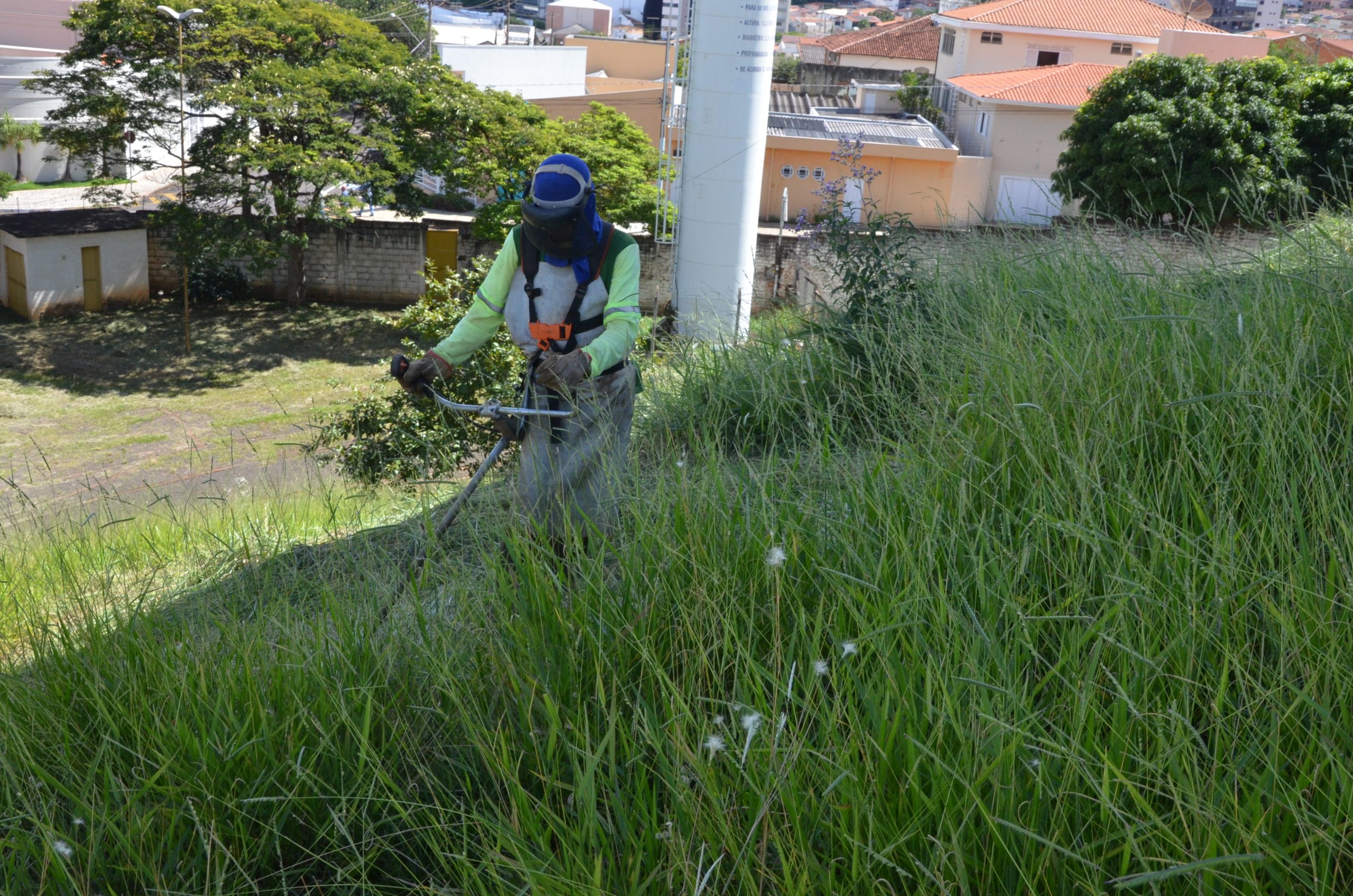 Serviços de poda e limpeza urbana continuam por todos os bairros de Franca