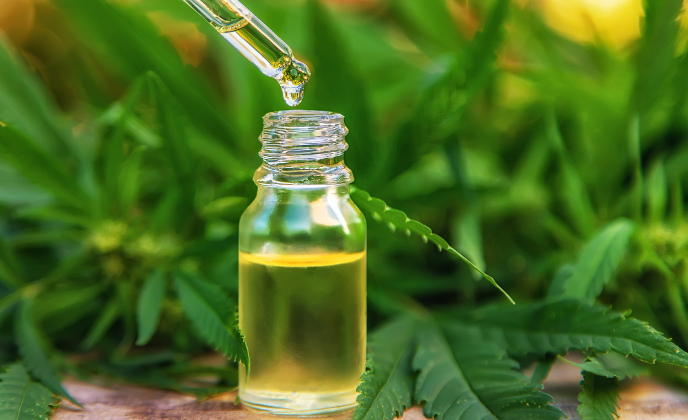 Sete perguntas comuns — com respostas — sobre o uso de cannabis medicinal