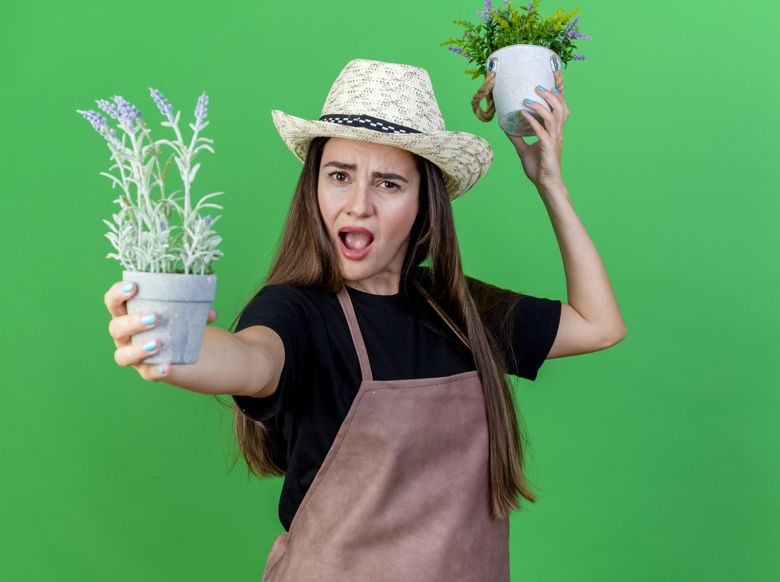Elas são autênticos repelentes! Conheça as plantas que ajudam a afastar mosquitos