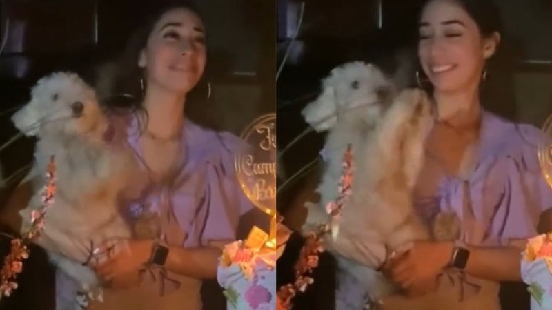 Cachorro aprende a bater palmas durante parabéns em festa e deixa tutora emocionada