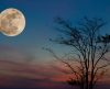 Abril terá uma bela “Lua Rosa”, chuvas de meteoros e eclipse solar raríssimo. Veja - Jornal da Franca
